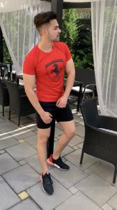 Фото Одежда Мужская футболка Puma Ferrari красная