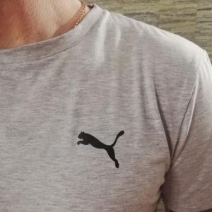 Фото Одежда Футболка мужская Puma серая