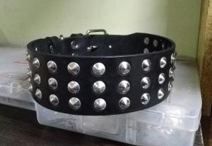 Фото  Кожаный ошейник для собаки с маленькими шипами черный