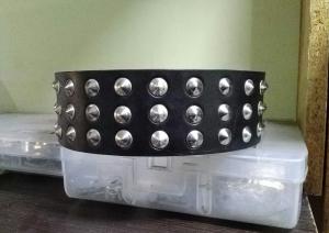 Фото  Кожаный ошейник для собаки с маленькими шипами черный