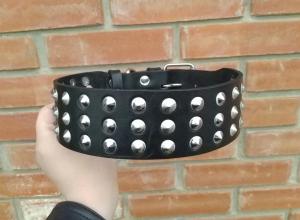 Фото  Кожаный ошейник для собаки с маленькими шипами черный