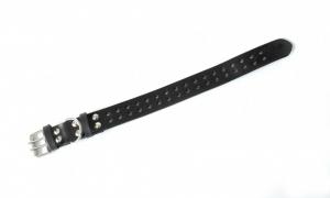 Фото  Кожаный ошейник для собак 