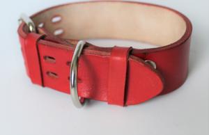 Фото Кожаный ошейник для собак 