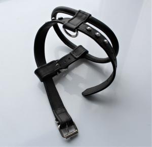 Фото  Шлейка для небольших пород собак 