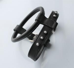 Фото  Шлейка для небольших пород собак 