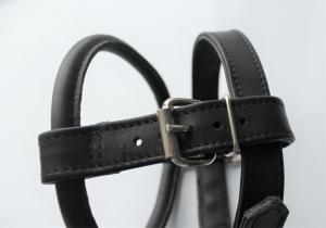 Фото  Шлейка для небольших пород собак 