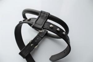 Фото  Шлейка для небольших пород собак 