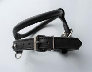 Фото  Шлейка для небольших пород собак 