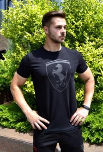 Фото Одежда Мужская футболка Puma Ferrari черная