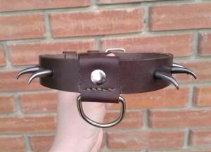 Фото  Кожаный ошейник 