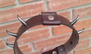 Фото  Кожаный ошейник 