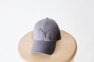Фото Шапки, кепки Кепка бейсболка коттон Puma Серый
