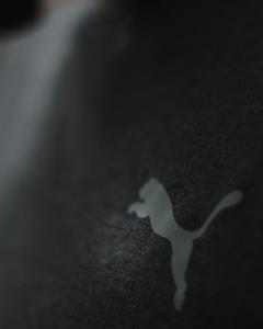 Фото Одежда Летний комплект Puma черный