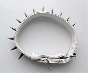 Фото  Кожаный ошейник с черными шипами 