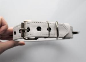 Фото  Кожаный ошейник с черными шипами 