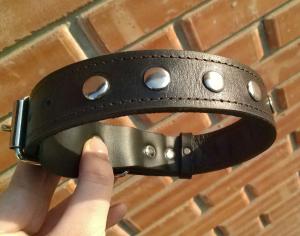 Фото  Кожаный ошейник 