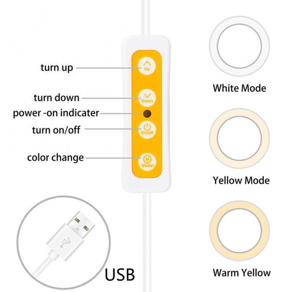 Фото Оборудование для фото студий, мини - студии, Лайт боксы для предметной фотосъемки Кольцевой LED осветитель ZM100 (6