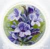 2020 № 1816 почтовая марка «Садовые цветы Garden Flowers»: «Лаванда Lavandula L.»