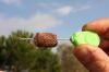  Тунель на тубе Korda Longchuck Pva System Hexmesh 7 м Рыболовные товары в Украине
