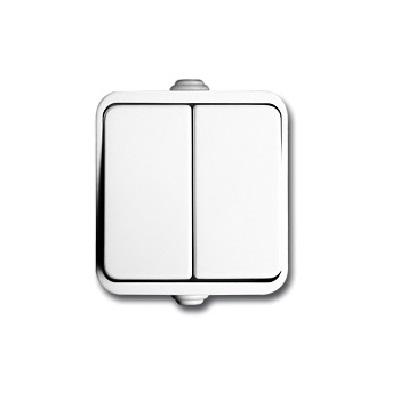 Фото Выключатели, розетки, установочные элементы, Delux выключатели, розетки, диммер Выключатель двухклавишный наружный Neptun-2223