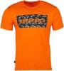 Футболка Brain 2022 XXXL к:orange