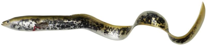 Фото  Силикон Savage Gear 3D Real Eel Loose Body 200mm 27.0g Lamprey PHP (поштучно)