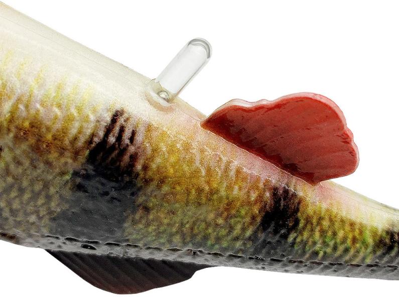 Фото  Силикон Savage Gear 4D Perch Shad 175mm 68.0g Perch (поштучно) (поштучно)