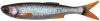 Силикон Savage Gear Craft Dying Minnow 75mm 2.0g Roach (5 шт/уп)