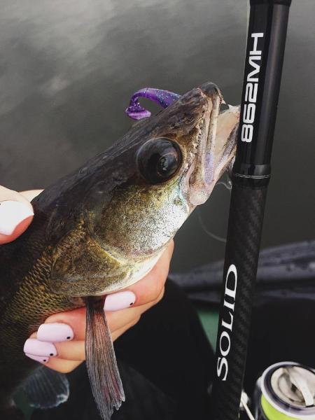 Фото  Силикон Select Easy Shad 3