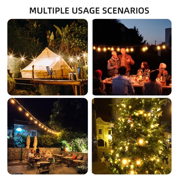 Фото  Гирлянда ретро-лампы подвесные 220 В, тёплый свет, уличная SFK-49