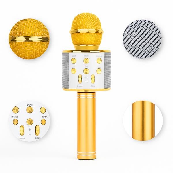 Фото Электроника УЦЕНКА! Микрофон WSTER WS-858 Bluetooth USB AUX FM GOLD (Плохая упаковка, ржавчина на корпусе 3172)
