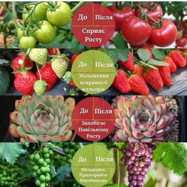 Фото Товары для дома и сада Светодиодная фитолента для растений 5 метров USB полный спектр для рассады и цветов