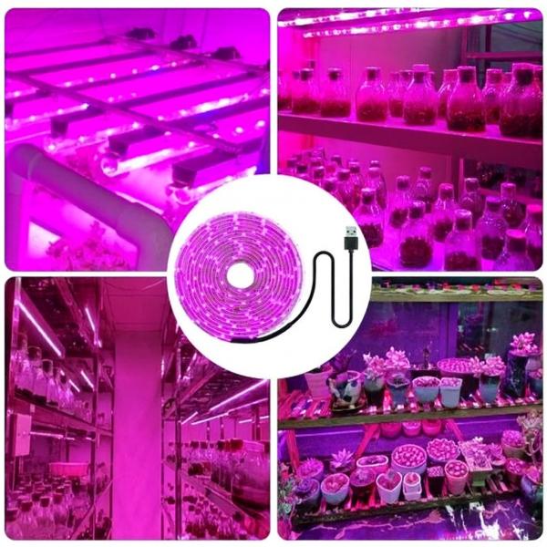 Фото Товары для дома и сада Светодиодная фитолента для растений 5 метров USB полный спектр для рассады и цветов