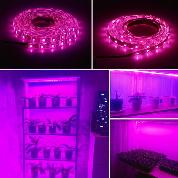 Фото Товары для дома и сада Светодиодная фитолента для растений 5 метров USB полный спектр для рассады и цветов