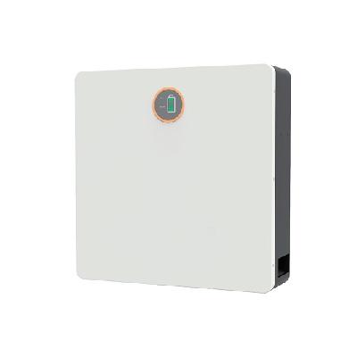 Аккумулятор LFB 51,2V 100A DELUX литиевый_LiFePO4