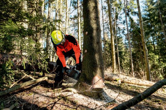 Аккумуляторная цепная пила Metabo MS 36-18 LTX BL 40 (601613850) без АКБ и ЗУ