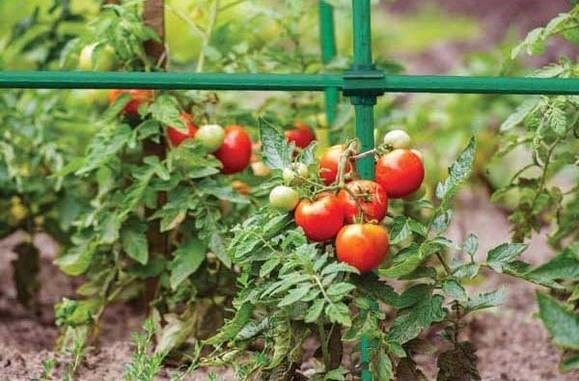 Опора садовая BRADAS стальная 1.1х100 см (TYP11100)