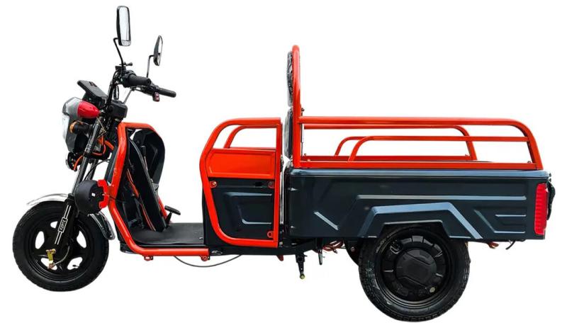 Аккумуляторный трицикл Forte GP-1000-C