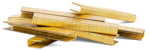 Скобы для степлера 10000 шт. Intertool PT-8220